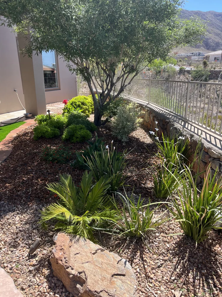 Landscape Design