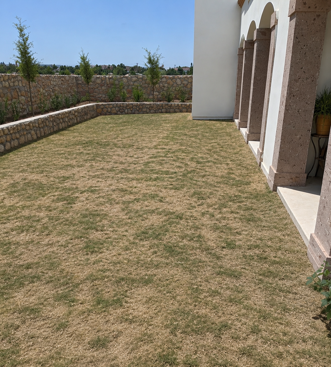 Before landscaping